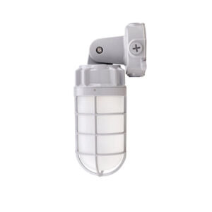 21W LED Jelly Jar Light AC 100-277V